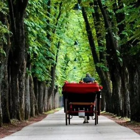 Center Daire Saraybosna